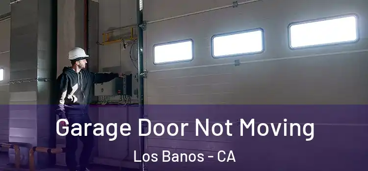  Garage Door Not Moving Los Banos - CA